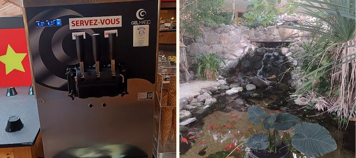 Jungle Circus - Gallery Image 2