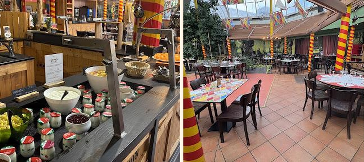 Jungle Circus - Gallery Image 4